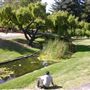 Julliard Park