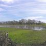 Laguna de Santa Rosa Trail