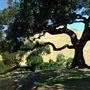 Paradise Ridge Winery