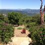 Sonoma Mountain Vista Estate