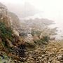 Stump Beach @ (Salt Point State Park)