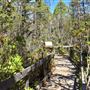 Van Damme State Park (SP) / Beach / Pygmy Forest / Fern Canyon Trail / Spring Ranch Trail