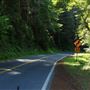Highway 1 - North Coast corridor