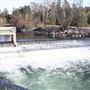 Coleman National Fish Hatchery
