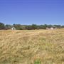 Jug Handle State Natural Reserve (SNR)