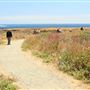Mendocino Headlands State Park (SP)