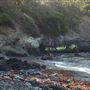 Buckhorn Cove