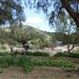 Willow Creek Ranch
