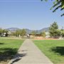 Willits City Park