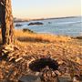 Smidgemore Property - Private Beach Cove & Bluffs with Vacant Cottages