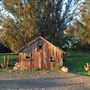 Bees Rock Ranch