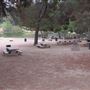 Frank G. Bonelli Regional Park / Puddingstone Reservoir