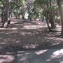 Placerita Canyon State Park (SP) / Placerita Canyon Natural Area / Placerita Nature Center