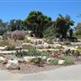 South Coast Botanic Garden