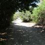South Coast Botanic Garden
