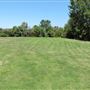 South Coast Botanic Garden