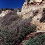Crystal Cove State Park (SP)