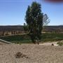 Temecula Hilltop Acreage
