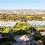 Luna Lavender Farms