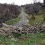 Edmonston Pump Plant Road / Pipeline thru Tejon Ranch - Department of Water Resources (DWR)