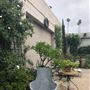 Kathleen Spiegelman Interiors and Studio -  KSDS
