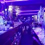 Celtic Raven Pub