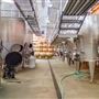 Agua Dulce Winery and Vineyards
