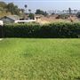 View Park Home