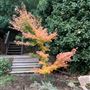 Sand Rock Farm Lodging + Events
