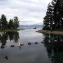 Fanny Bridge/Tahoe Dam