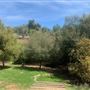 Enchanted Elfin Forest Home  on 2 private acres