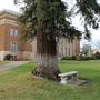 Red Bluff