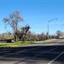 Tehama