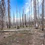 Lassen Volcanic National Park