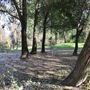 Samuel Ayer Park