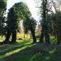 Samuel Ayer Park