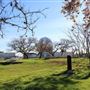 Ridgeway Park