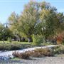 River Park