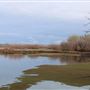 Sacramento River Bend