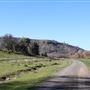Meadowbrook Ranch