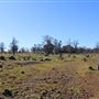Meadowbrook Ranch