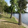 Ellis Lake