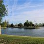 Ellis Lake
