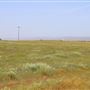 Wheatland