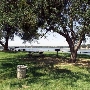 Folsom Lake State Recreation Area (SRA)