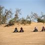 Heber Dunes State Vehicular Recreation Area (SVRA)