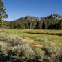 Lake Valley State Recreation Area (SRA)
