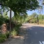 Arden Oaks