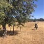 Garbani Ranch