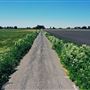 Various Rural Farms And Ranches
